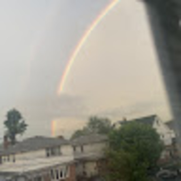 Meet your Posher, Veronica - Picture 1 of 1